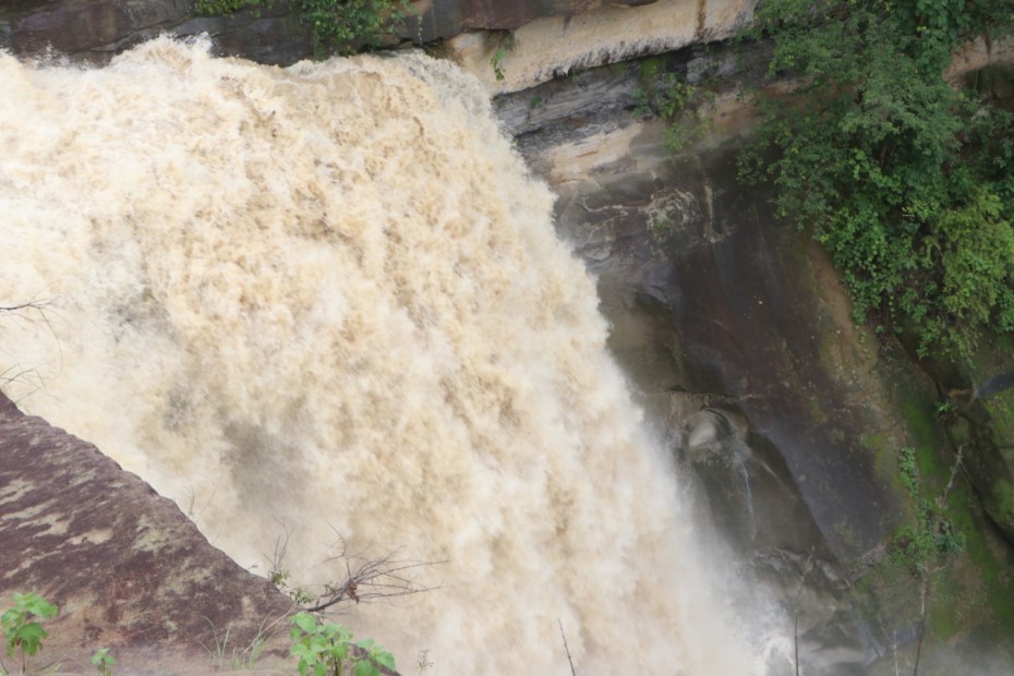 1723192920 3dc1e1b587f6b66c7b63