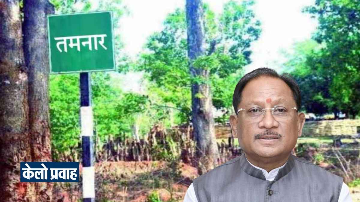 सीएम साय ने तमनार को दी बड़ी सौगात: 152.49 करोड़ की लागत से बनेगा 8.50 किमी फोरलेन बायपास मार्ग CMSaigiftsamajorboontoTamnar