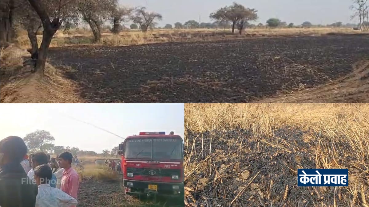 शादी के सपनों पर आग का कहर! 6 एकड़ गेहूं की फसल जलकर राख, बेटी की शादी पर मंडराया संकट IMG 20260328 WA0001