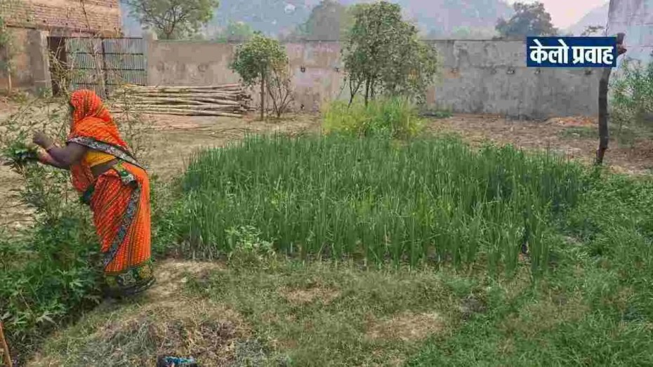 pm kisan 22nd installment update kelo pravah