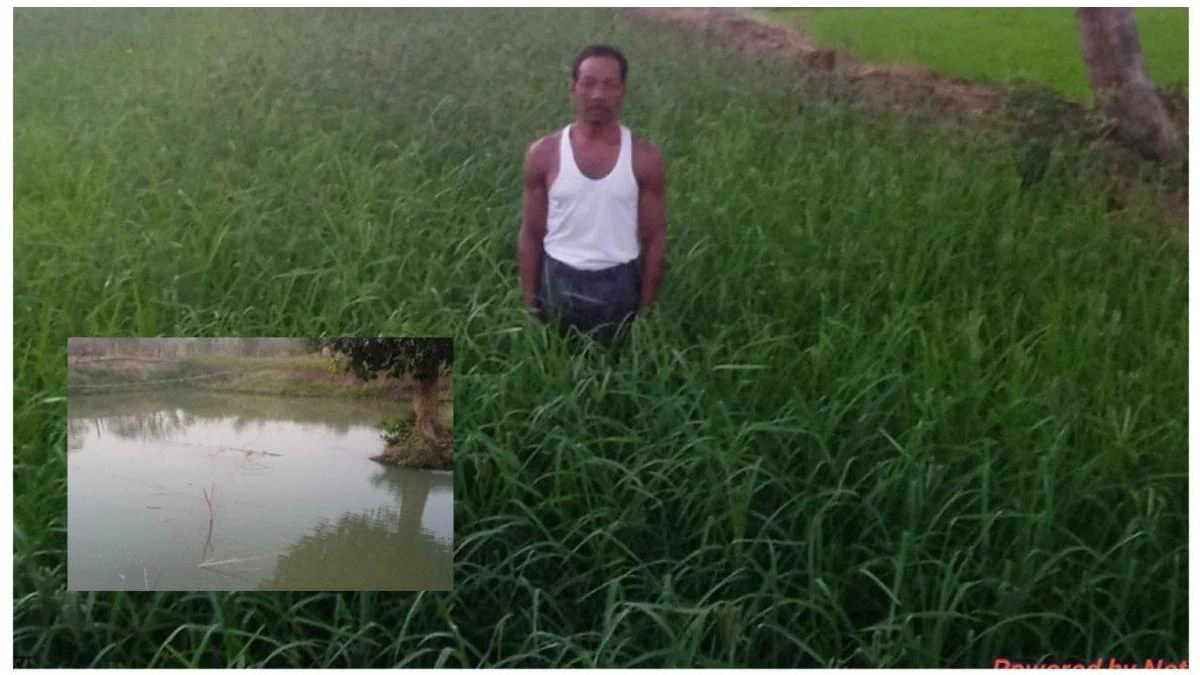Agriculture : डबरी, मछली पालन और बहुफसली खेती से बदली तकदीर, सगनू बने गांव  के प्रेरणास्रोत