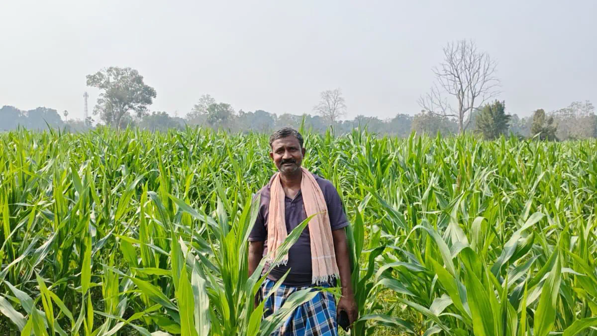 नक्सल प्रभावित क्षेत्र में समृद्धि की नई गाथा : आधुनिक खेती अपनाकर कृषक गोपाल ने गढ़ा उन्नति की नई परिभाषा E0A495E0A583E0A4B7E0A495E0A497E0A58BE0A4AAE0A4BEE0A4B2E0A48FE0A4B0E0A58DE0A4B0E0A4BEE0A497E0A58BE0A4B2E0A4BE
