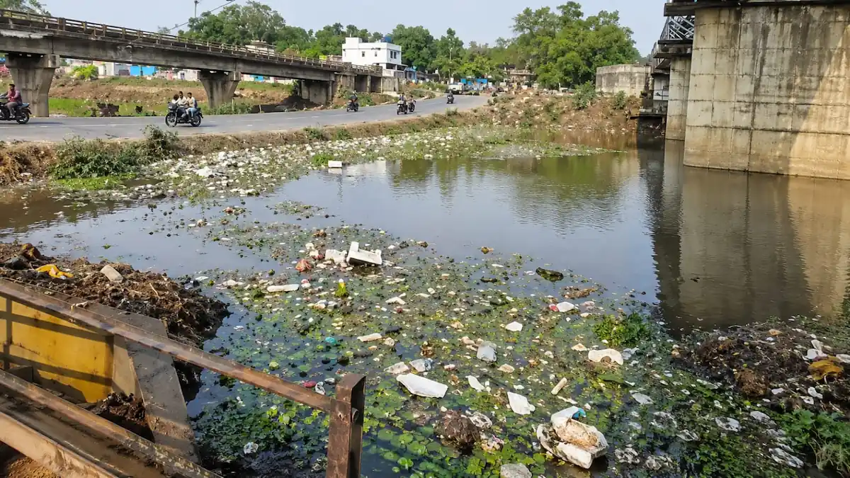 KeloNadi