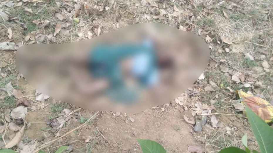 खेत में डोरी बीनने गई महिला पर हाथी का हमला