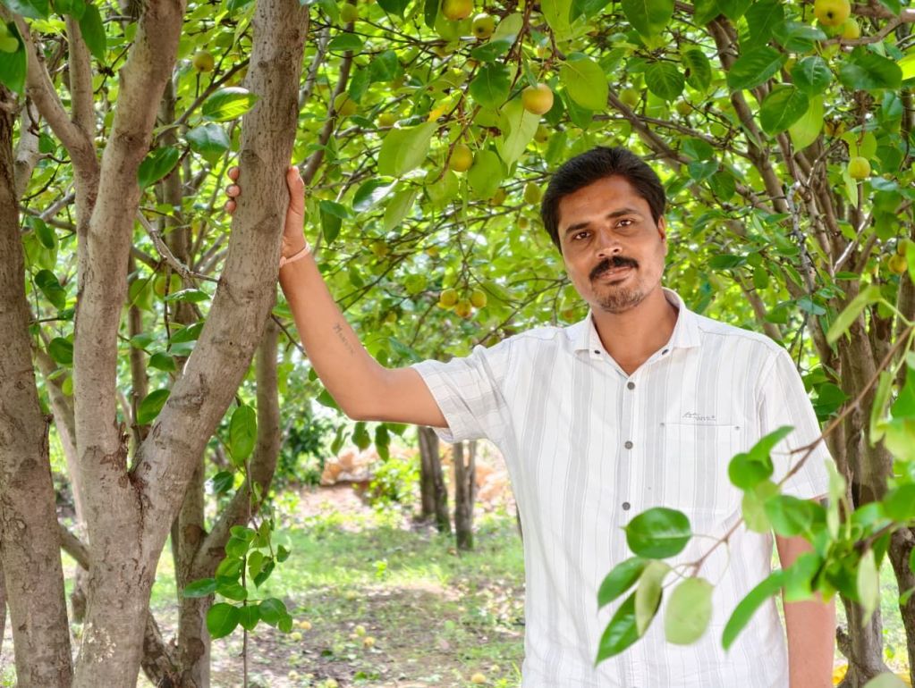 बंजर जमीन पर उगाई 'नाशपाती', किसान मनोज ने कमाए लाखों : एग्री-टूरिज्म का नया गढ़ बना छत्तीसगढ़ का 'शिमला' img 20260715 wa00344030261006307747354