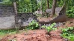 हाथी
